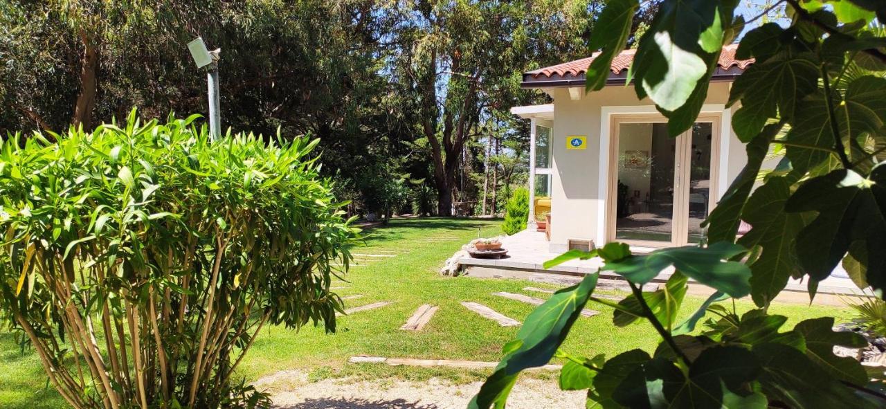 Bed and Breakfast Memento Ossi Exterior foto